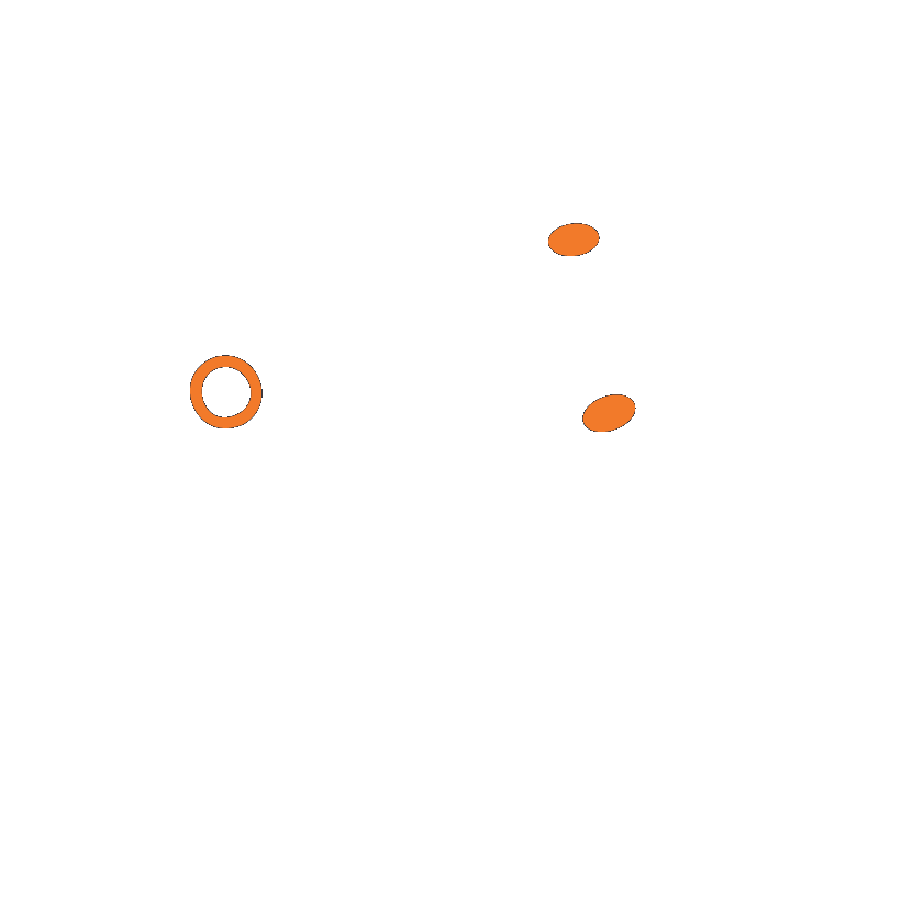 Manta Ray